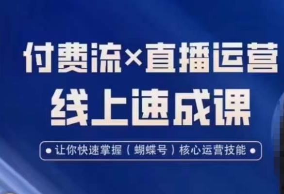 视频号付费流实操课程，付费流✖️直播运营速成课，让你快速掌握视频号核心运营技能-网赚项目平台