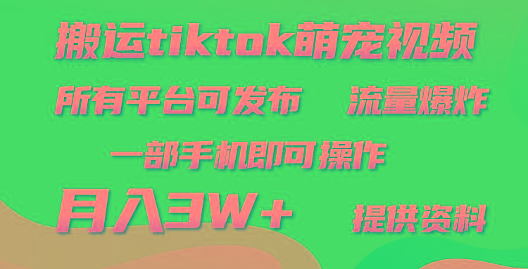(9618期)搬运Tiktok萌宠类视频，一部手机即可。所有短视频平台均可操作，月入3W+-网赚项目平台