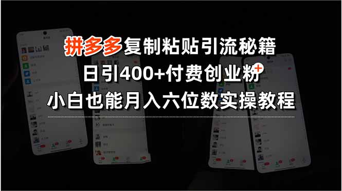 拼多多复制粘贴引流秘籍，日引400+付费创业粉，小白也能月入六位数实操…-网赚项目平台