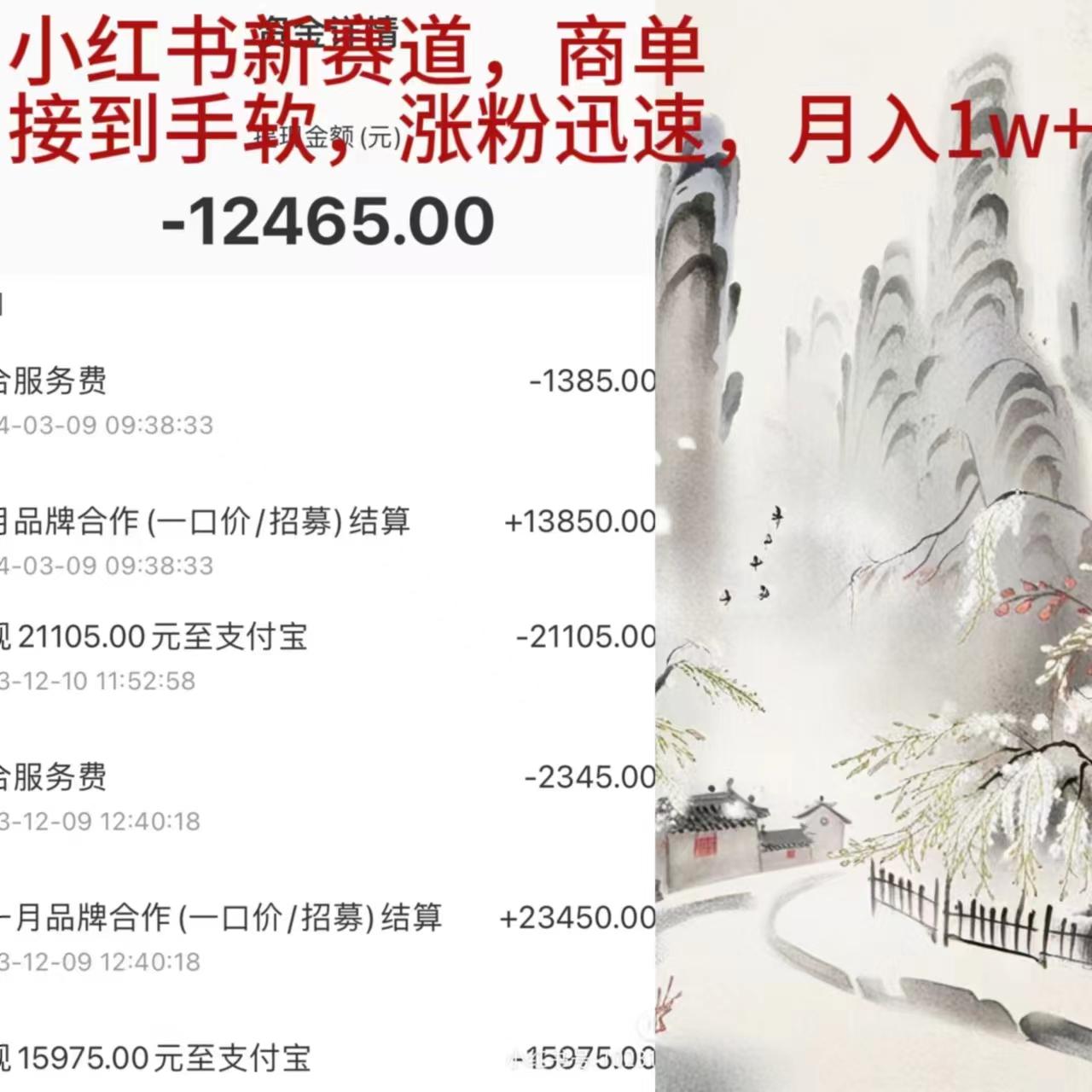 (9476期)小红书新赛道，商单接到手软，涨粉迅速，月入1w+-网赚项目平台