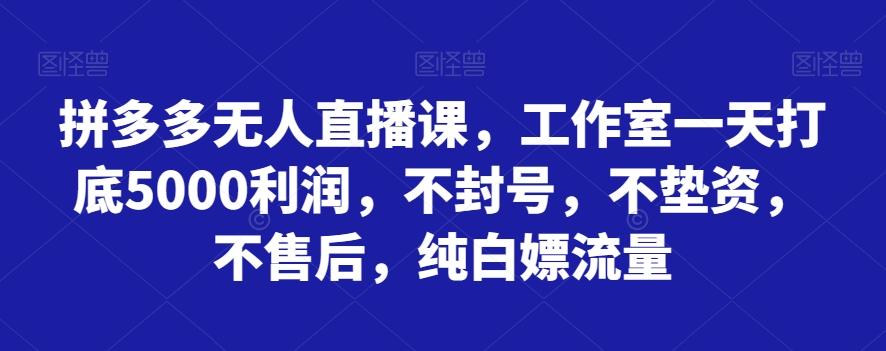 拼多多无人直播课，工作室一天打底5000利润，不封号，不垫资，不售后，纯白嫖流量-网赚项目平台