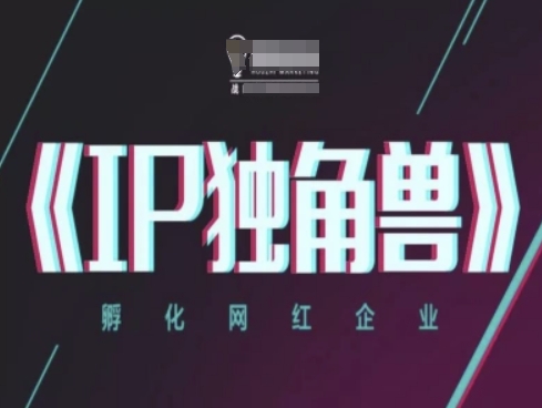 IP独角兽，孵化网红企业，ip教程-网赚项目平台