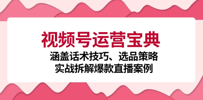 视频号运营宝典：涵盖话术技巧、选品策略、实战拆解爆款直播案例-网赚项目平台