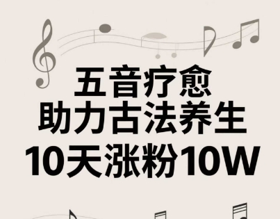 古法五音养生教程，五音疗愈的视频的制作方法，2-4小时就能学会，作者10天涨粉10W-网赚项目平台