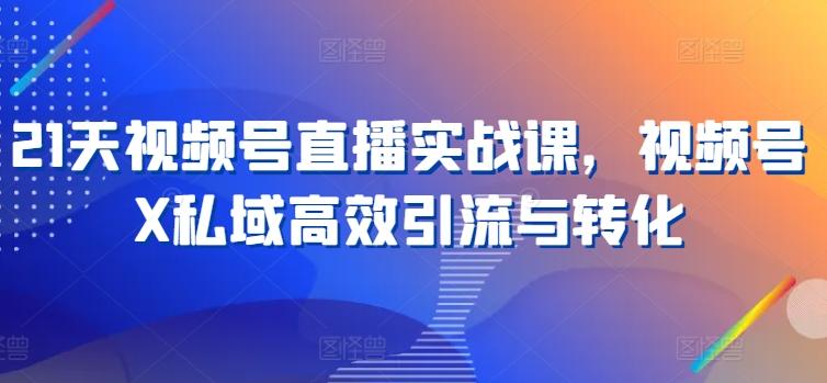 21天视频号直播实战课，视频号X私域高效引流与转化-网赚项目平台