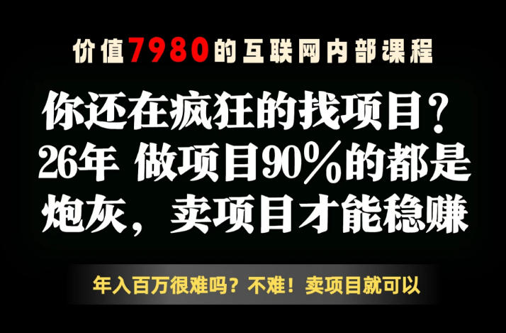 26年请不要疯狂的找项目了，卖项目远比你想象的暴利，你也可以月入10W+【揭秘】-网赚项目平台