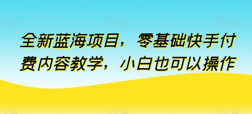 全新蓝海项目，零基础快手付费内容教学，小白也可以操作【揭秘】-网赚项目平台
