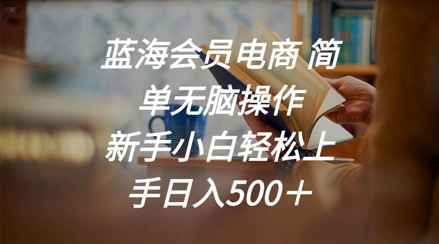 蓝海会员电商 简单无脑操作 新手小白轻松上手日入500＋-网赚项目平台