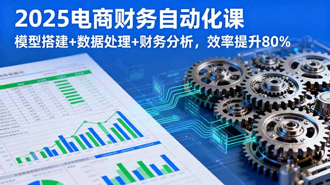 2025电商财务自动化课,模型搭建+数据处理+财务分析,效率提升80%-网赚项目平台