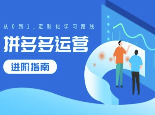 拼多多运营进阶指南，从0到1定制化学习路线-网赚项目平台