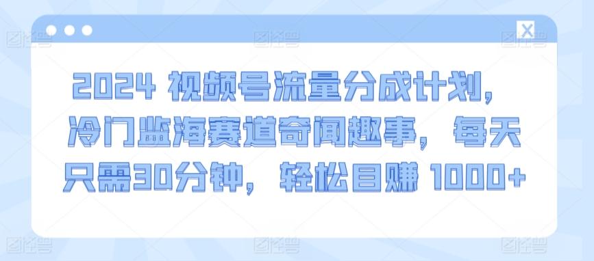 2024视频号流量分成计划，冷门监海赛道奇闻趣事，每天只需30分钟，轻松目赚 1000+【揭秘】-网赚项目平台