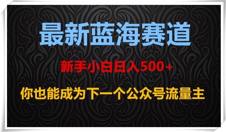 最新蓝海赛道，新手小白日入500+，你也能成为下一个公众号流量主【揭秘】-网赚项目平台