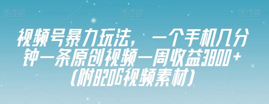 视频号暴力玩法，一个手机几分钟一条原创视频一周收益3800+（附820G视频素材）-网赚项目平台