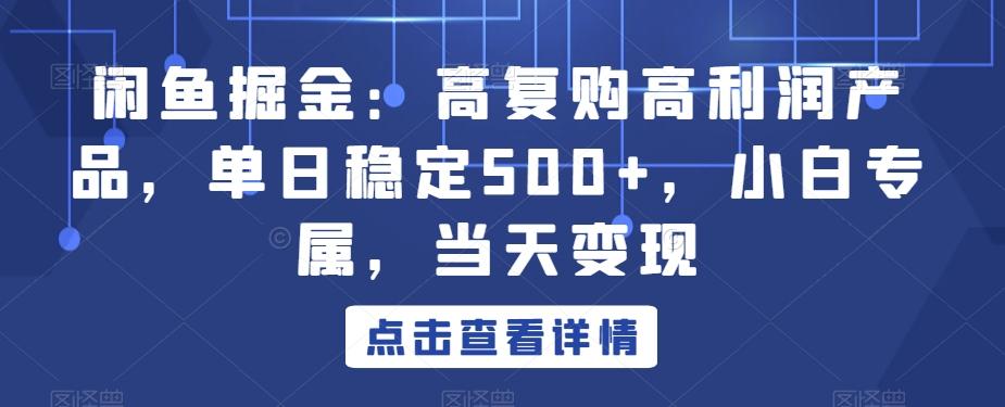 闲鱼掘金：高复购高利润产品，单日稳定500+，小白专属，当天变现-网赚项目平台