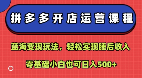 拼多多开店运营课程：蓝海变现玩法，轻松实现睡后收入，零基础小白也可日入5张-网赚项目平台