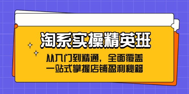 淘系实操精英班：从入门到精通，全面覆盖，一站式掌握店铺盈利秘籍-网赚项目平台