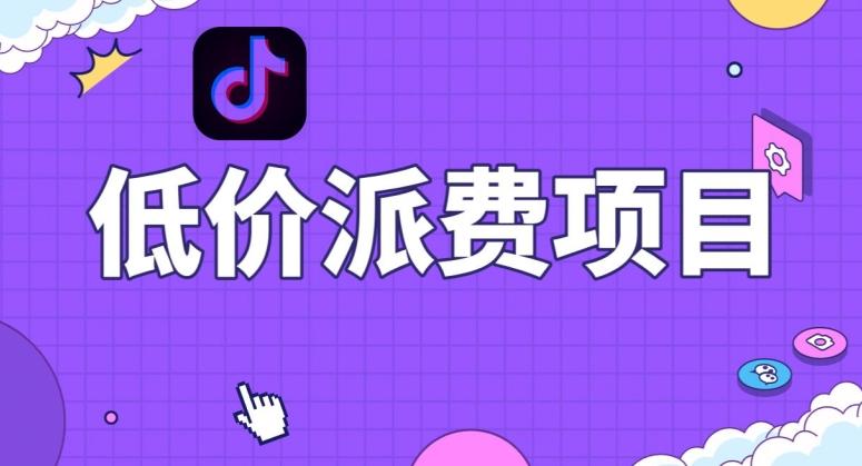 抖音低价派单项目，0门槛，日入1000+很轻松，小白可操作【揭秘】-网赚项目平台