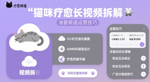 猫咪疗愈长视频拆解 &油管频道运营技巧-网赚项目平台