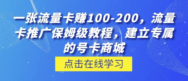 一张流量卡赚100-200，流量卡推广保姆级教程，建立专属的号卡商城-网赚项目平台