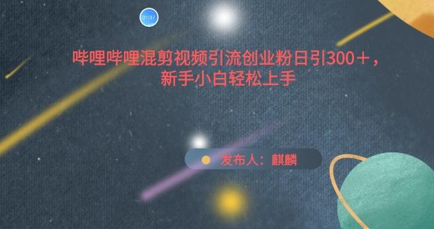 哔哩哔哩混剪视频引流创业粉日引300+，新手小白轻松上手【揭秘】-网赚项目平台