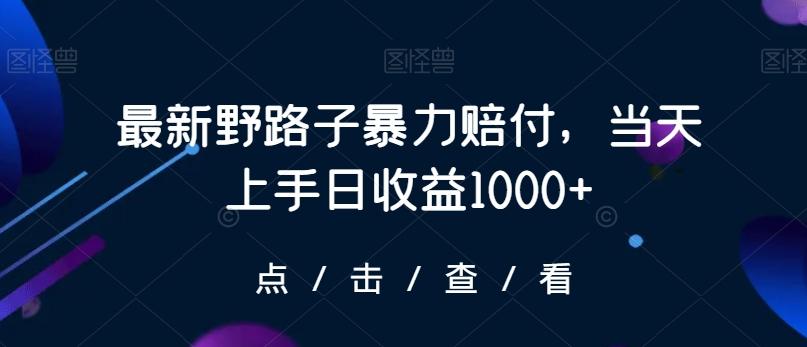 最新野路子暴力赔付，当天上手日收益1000+【仅揭秘】-网赚项目平台