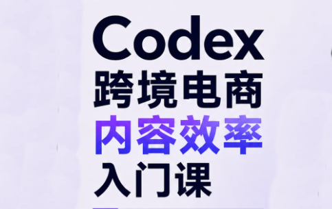Codex跨境电商内容效率入门课-网赚项目平台