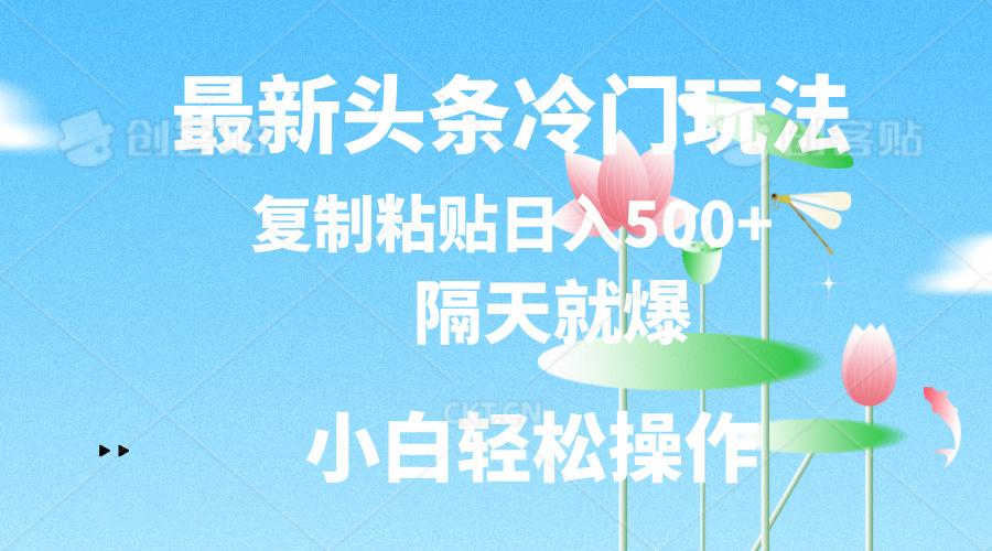 最新头条冷门玩法，隔天就爆，复制粘贴日入500+-网赚项目平台