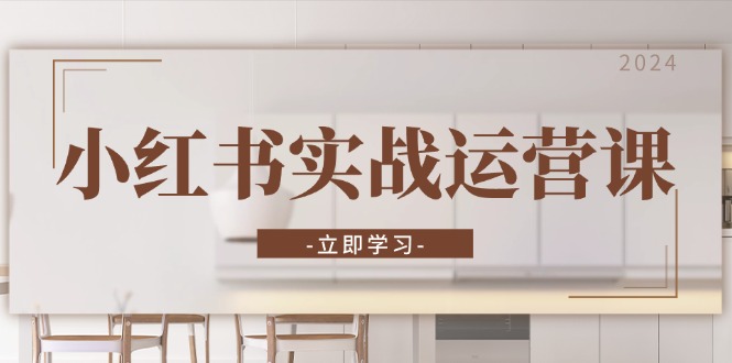 小红书实战运营课：从开通店铺到直播话术，打造爆款笔记与高效直播-网赚项目平台