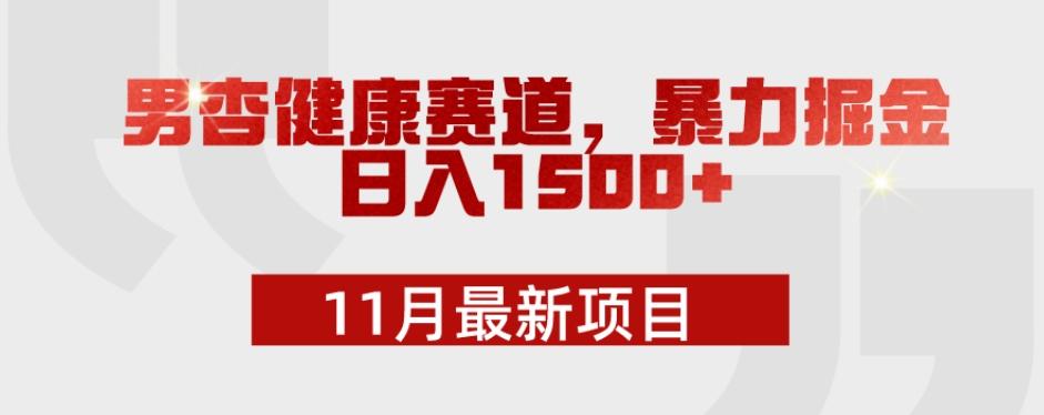 11月最新项目，男杏健康赛道，暴力掘金，日入1500+-网赚项目平台