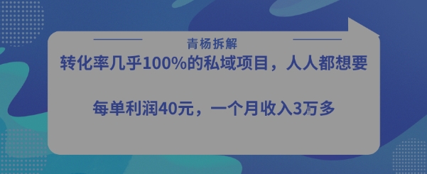 转化率最高的私域项目，每单利润40-50米，月入过1w-网赚项目平台