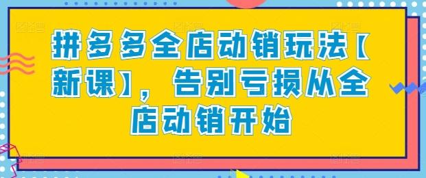 拼多多全店动销玩法【新课】，告别亏损从全店动销开始-网赚项目平台