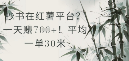 抄书在小红薯平台？平均一单30米，一天收益几张！-网赚项目平台