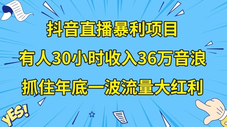 抖音直播暴利项目，有人30小时收入36万音浪，公司宣传片年会视频制作，抓住年底一波流量大红利【揭秘】-网赚项目平台