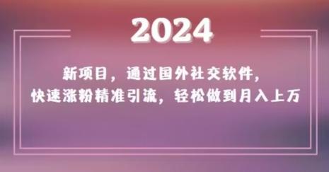 2024新项目，通过国外社交软件，快速涨粉精准引流，轻松做到月入上万【揭秘】-网赚项目平台