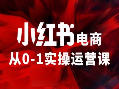 小红书电商从0-1实操运营课，让你从小白到精英-网赚项目平台
