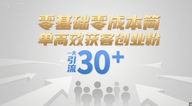 零基础零成本简单高效获客创业粉，一天引流30+-网赚项目平台