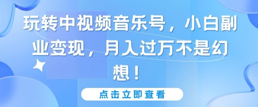 玩转中视频音乐号，小白副业变现，月入过万不是幻想【揭秘】-网赚项目平台