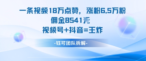 一条视频18W点赞,涨粉6.5W粉佣金8541米,视频号+抖音=王炸-网赚项目平台