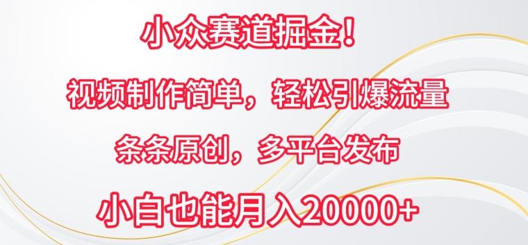小众赛道掘金，视频制作简单，轻松引爆流量，条条原创，多平台发布【揭秘】-网赚项目平台