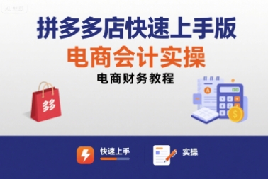 拼多多店快速上手版电商会计实操-电商财务教程-网赚项目平台