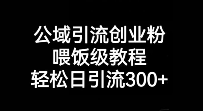公域引流创业粉，喂饭级教程，轻松日引流300+【揭秘】-网赚项目平台