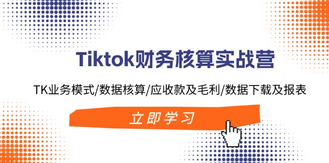 Tiktok财务核算实战营：TK业务模式/数据核算/应收款及毛利/数据下载及报表-网赚项目平台