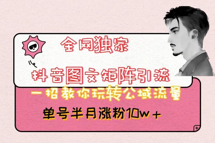 全网独家抖音图文矩阵引流，一招教你玩转公域流量，单号半月涨粉10w+【揭秘】-网赚项目平台