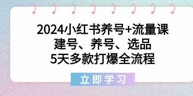 2024小红书养号+流量课：建号、养号、选品，5天多款打爆全流程-网赚项目平台