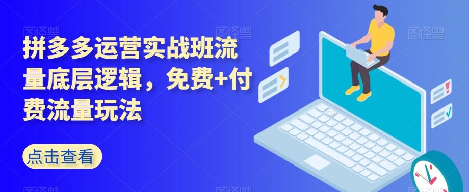 拼多多运营实战班流量底层逻辑，免费+付费流量玩法-网赚项目平台