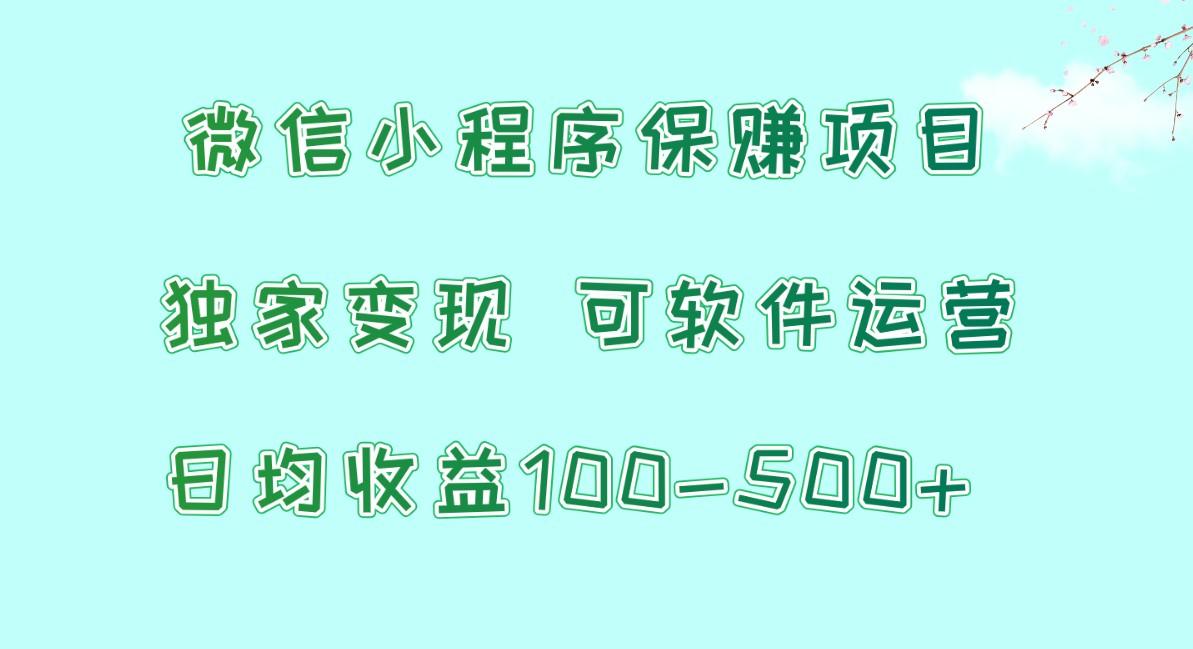 微信小程序保赚项目，日均收益100~500+，独家变现，可软件运营-网赚项目平台