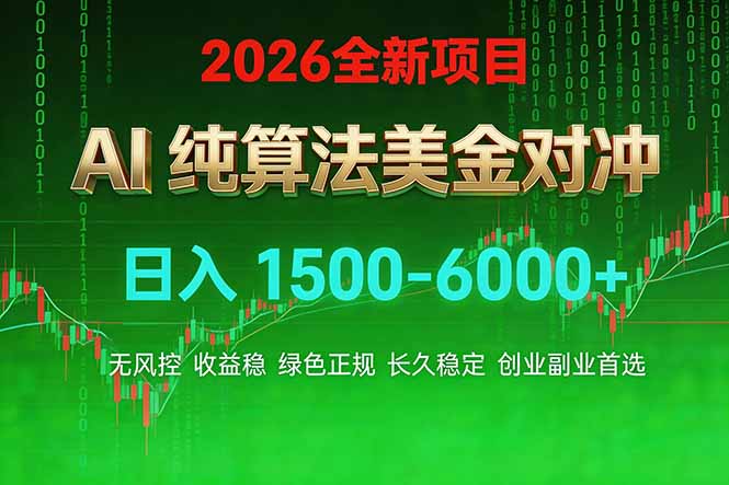 2026 全新美金对冲项目，不套平台赠金，不封号，纯算法对冲，日入 1500-6000+-网赚项目平台