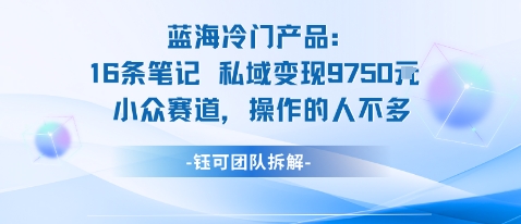 蓝海项目：16条笔记私域变现9750米小众赛道操作的人不多-网赚项目平台