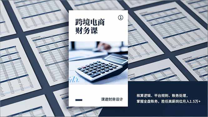 跨境电商财务课,核算逻辑、平台规则、账务处理,掌握全盘账务,胜任高薪岗位月入1.5万+-网赚项目平台