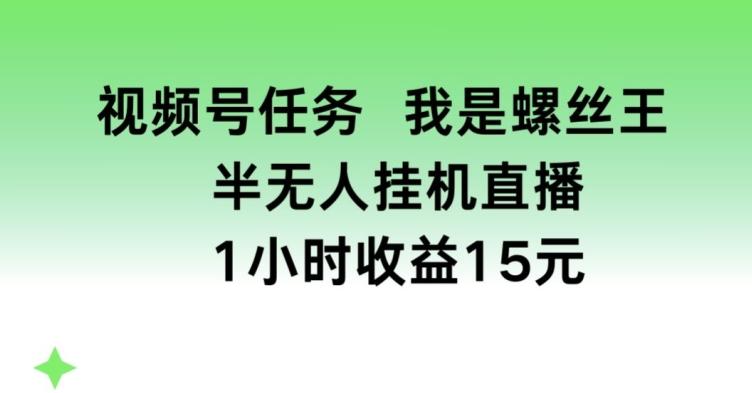 视频号任务，我是螺丝王， 半无人挂机1小时收益15元【揭秘】-网赚项目平台